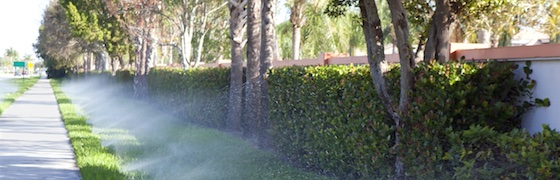 Sidewalk Sprinklers