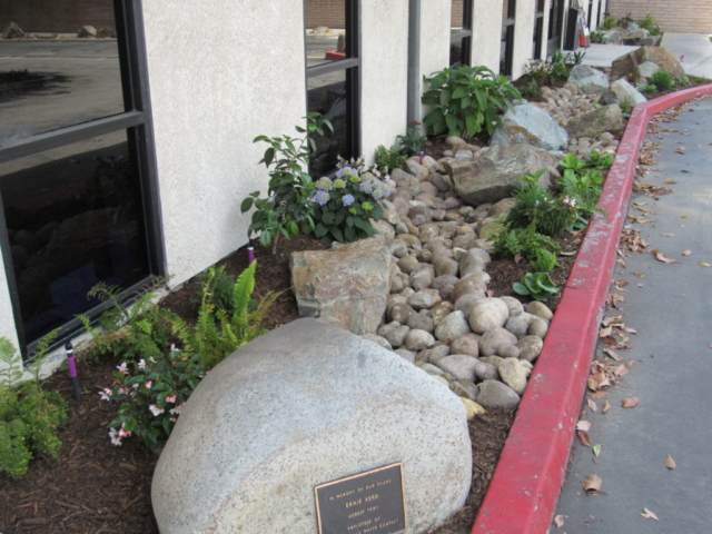 Removed grass and put in a drought-friendly planter next to building.