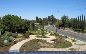 Drought-friendly landscaping with walking path